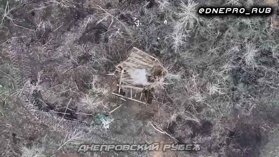 ��������� �������: ���������� �����������, ����������� �������