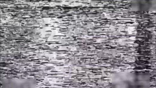   14       29    &quot;&quot;           