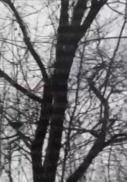 Кадры пролета крылатых ракет в районе Днепропетровска, полет дрона-камикадзе «Герань-2» над Черниговым, и поражение целей в Луцке