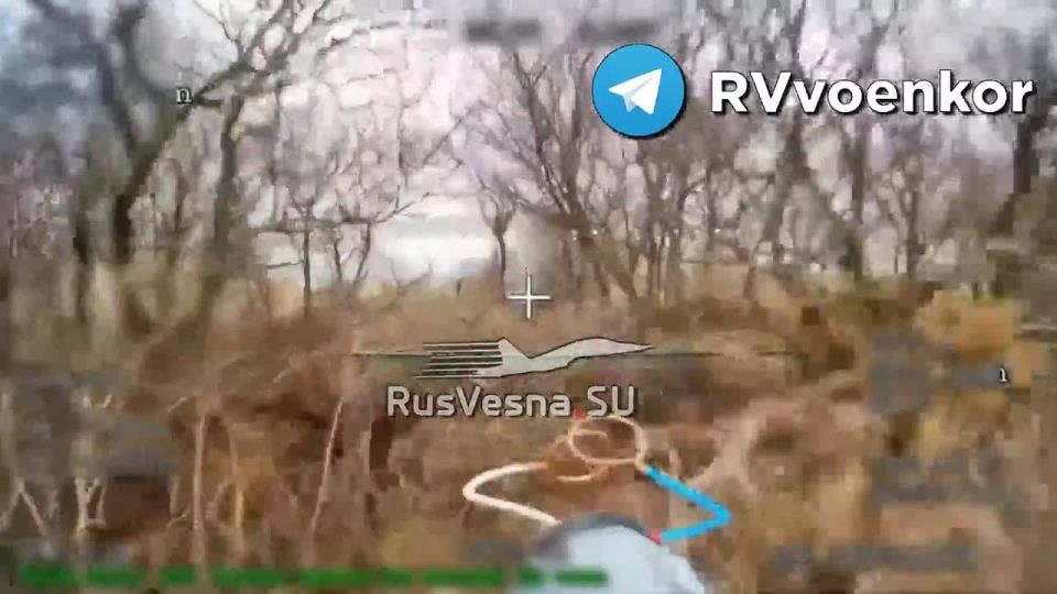 91 ���� ������� ���������� ��������� � ������ ������������, �������� � ���������������� �������