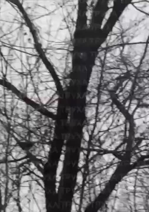 ����� ������� � ���������������