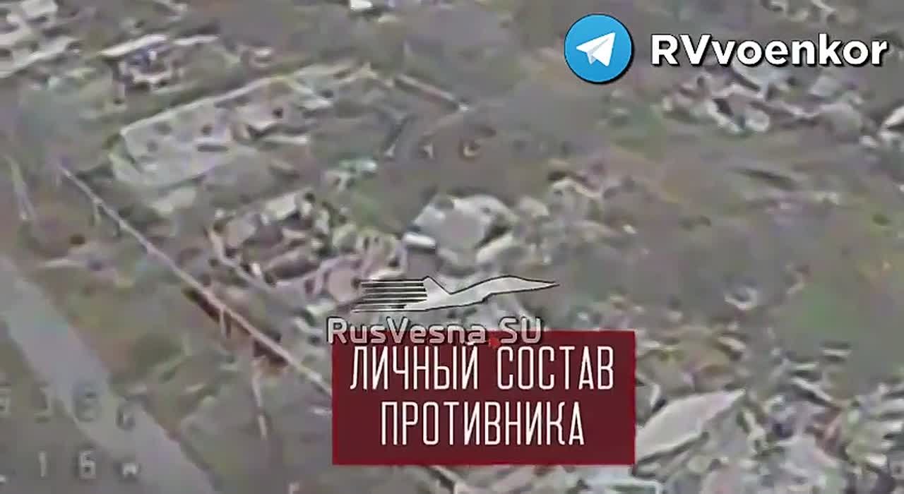 «тважные» штурмуют окружённый Мирноград и наступают в Днепропетровской области