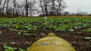 Операторы БЛА 14 гвардейской бригады спецназа группировки войск "Восток" догнали и вручили "подарок" вражеской бронемашине в Терноватом, Днепропетровская область, зона ответственности 36 армии группировки войск "Восток"