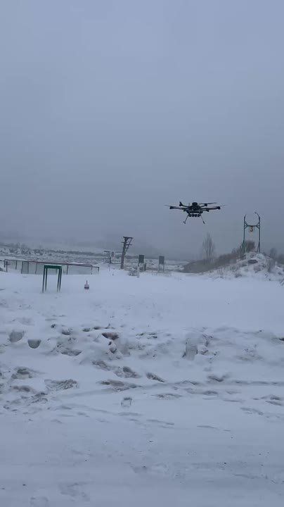 ���� �� 10-� ����� �����������, ����������� � ��������� ����������� �� ����-���������������� �����������