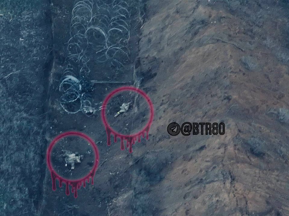 ������� �������: "�������� - �������!"