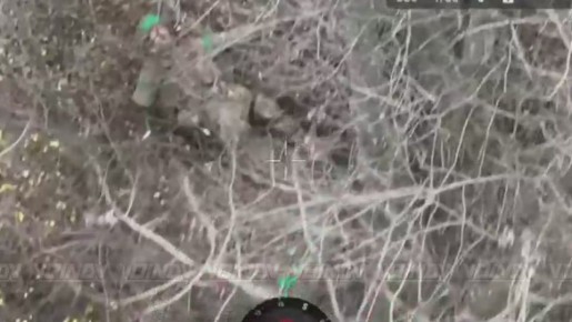   37    36    &quot;&quot;   ,         