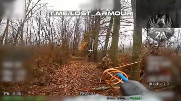 Мгновенная карма или кинуть зигу и умереть!