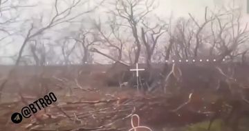 ���������� ����� ���� � ������� ���������� � ���������������� ������� ����������� ����������