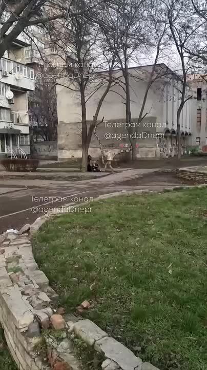 #���������. ����� �� ��������� � ��������� ������������