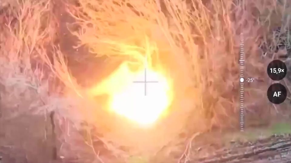 ���������� ������������ ����� ���� �� ��������