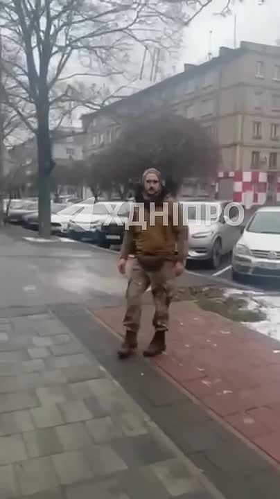 #�������_���_�����������: ������� � ��������������� �� ������� ������ ����� ������