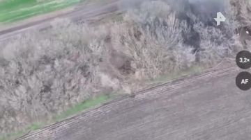 ����� ������������ ������������ ����� "������" ����������� � ���������������� ������� ��������� ���������� ������