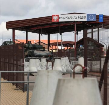 ПОЛЬСКИЕ МИНЫ ДЛЯ КИЕВА: КАК ВАРШАВА ПЫТАЕТСЯ ЗАМЕДЛИТЬ НАТИСК РОССИЙСКОЙ АРМИИ