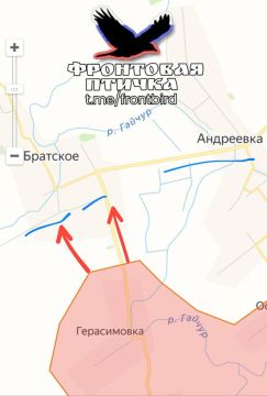 ���������������� �����������