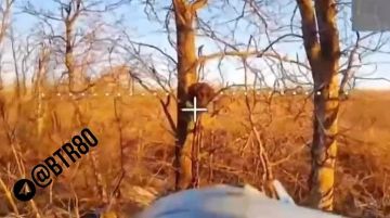 ����������� ����� ��������� � ���������������� ������� � �������� ���������� ��������