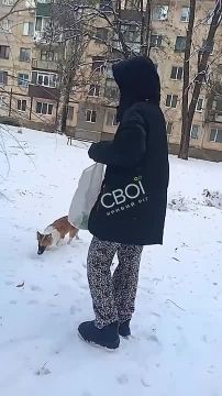 В Кривом Роге земляки Зеленского вынуждены насыпать снег в сливной бачок унитаза из-за отсутствия воды