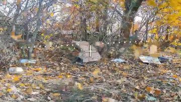 Российские военные уничтожили живую силу и пункты управления БПЛА ВСУ в Запорожской области