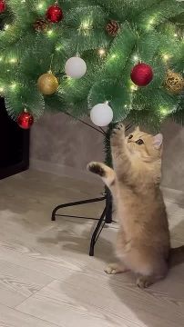 ����� ������ ��������� � ��, ��� ���������� ������ ���