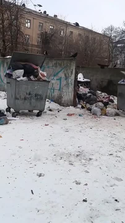 #�������_���_�����������: ������� �� ��������������� �������� �� �������� ����� "���������" � ������, � ��� ����� ���������� �� �������� ������ ������, ������� ����� �� �������