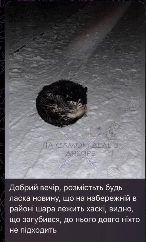 ����������� ������. ������ ���������� ������ ������� � �������� �������� �������