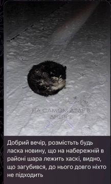 ����������� ������. ������ ���������� ������ ������� � �������� �������� �������