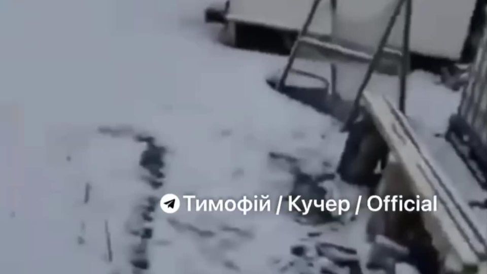 ����� ������ � ���������������