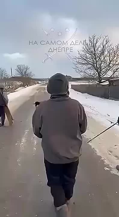 ������ ����������� ���� �������� ��������� ���������� � ��� �� ���������� ��������� �������������� ���!