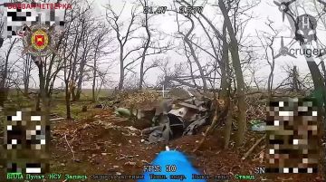 ����������� �����, ���������� �����������