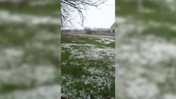 ��������� ���: ��� ����� ��������. �����. ����� 36-� ��������� ����������� �������������� ������� 29-� ����� ����������� ����� ������� ����������, ��� ���������� ���� �������� � ���������� ������ ���������������� �������