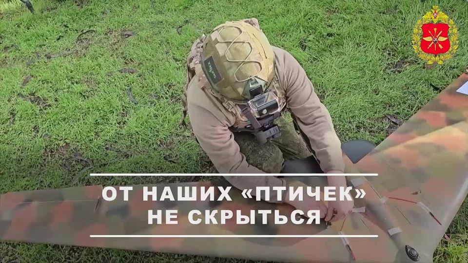 ���������� ������: ������������� ����� ����������� ������ ������������� ��������� ������ ��������� ��������, �������� ������� �������, ������������ ������� � ����� ���� ����������