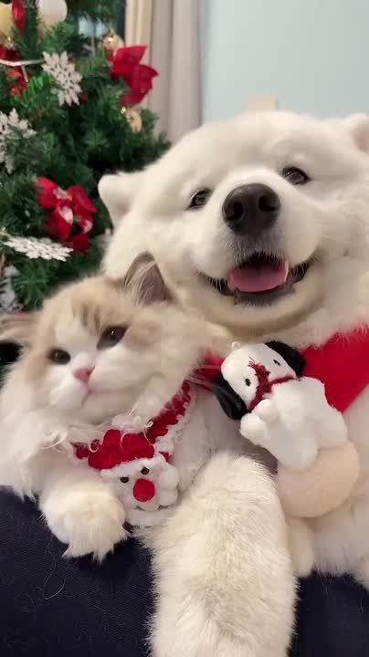 ���� ���������� � ��� �� ���� � �� ������������� �����. ��� �������