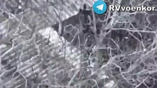 «тважные» массово уничтожают контратакующие пехоту ВСУ под Покровском и в Днепропетровской области