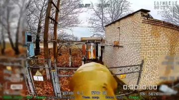 ������. ������� ����