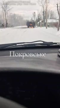 Уничтоженный бронеавтомобиль ATF Dingo ВСУ немецкого производства в н.п. Покровское Днепропетровской области