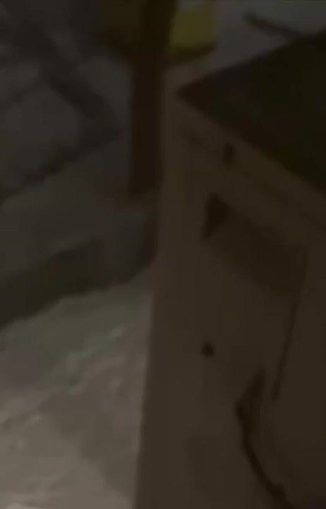 ������ �������: ��������������, ���������. ������ �� ������� �������������, �������� ���������������, ������� ������������� � �����