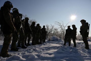 � ����������� ������� �������� ������������ ���������� ���