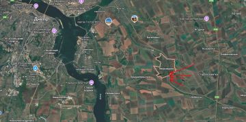 ������ �������: ���������� (����. �����������), �������� ��������������� � ������������� ���� �� ��������������� ��������������