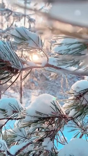 ����� ������ ����� ��������� �����. ����� ���� ������� �������� ����� �����