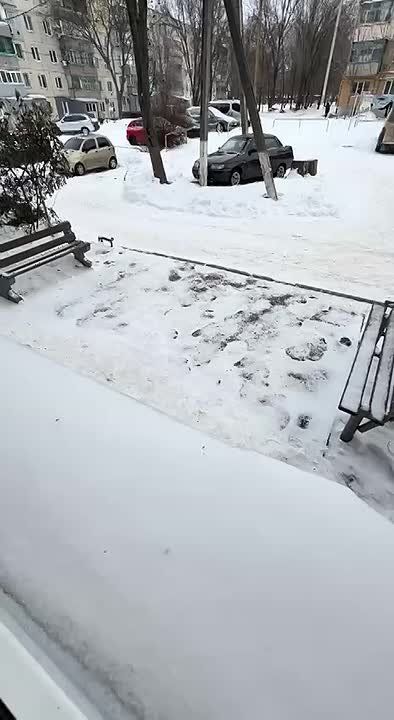 ������ ������� ���������� "������-3" �� ����� ������ � ���������������