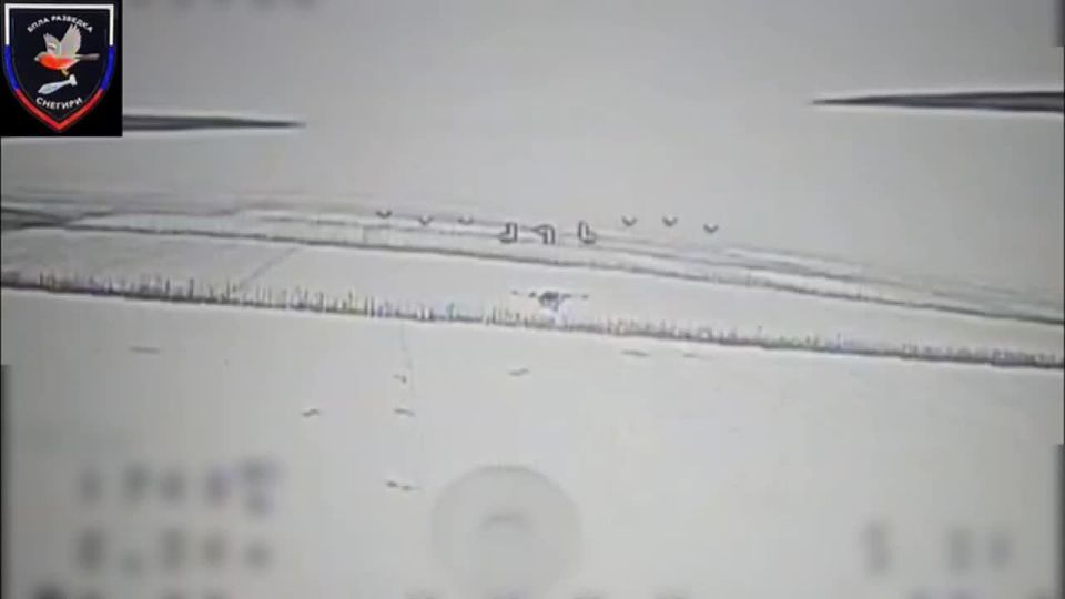 ������ ����. ���������� ����������� "������" �� �� �� �������, ������� �� ��������, ���������� ���������� ���������� ������� �����-��������������� ���� "���� ���" �� ����-���������������� �����������