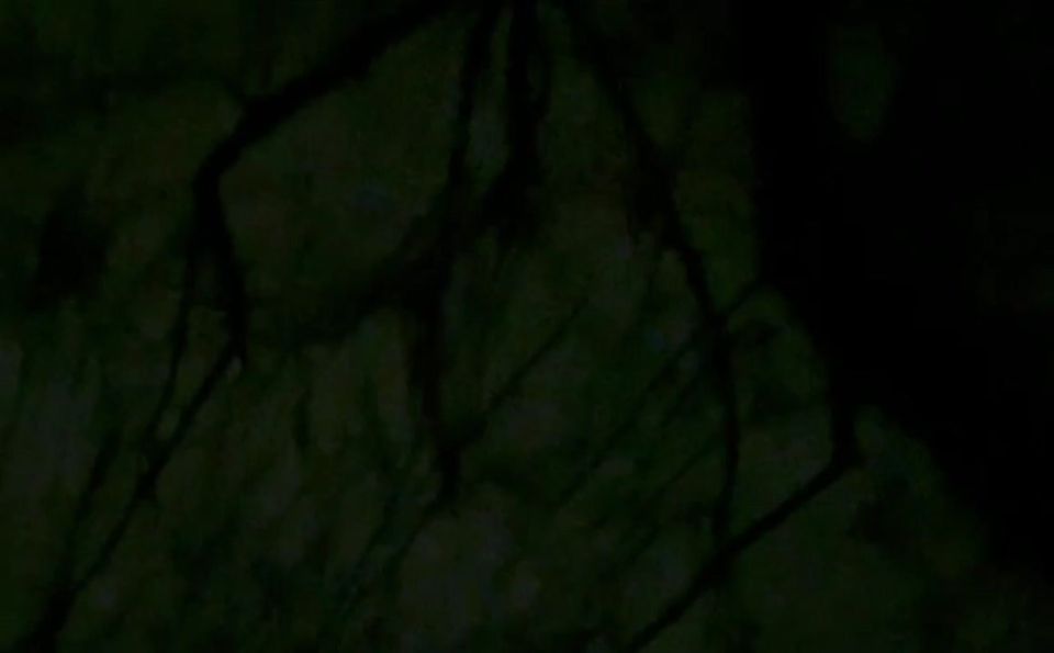 �� �������������� �������� ��� "�������"