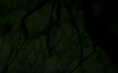 �� �������������� �������� ��� "�������"