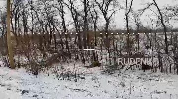 ������ �������: �� ���������� ����������� � ����������� ������� � ������ �.�. ���������� ������� ������� ���� �������������� ����������� �� ������� ����������� ����� ������ �������� ������ � ������� ����������