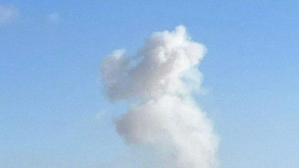 �������� ���� ������ �� ���������� ������� � ���������������