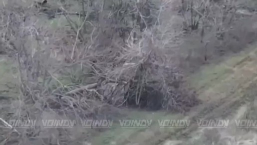 ����� ��� ����: ��� �������� ��������������� ����������� ����������