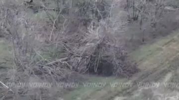 ����� ��� ����: ��� �������� ��������������� ����������� ����������