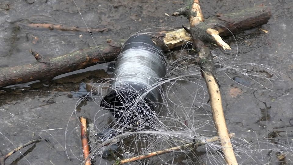 ���������� ���������� ����: ��� �������� ������ �������� �� ���������