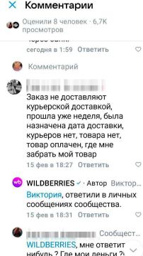 ����������� � �������: Wildberries ����������� ���������