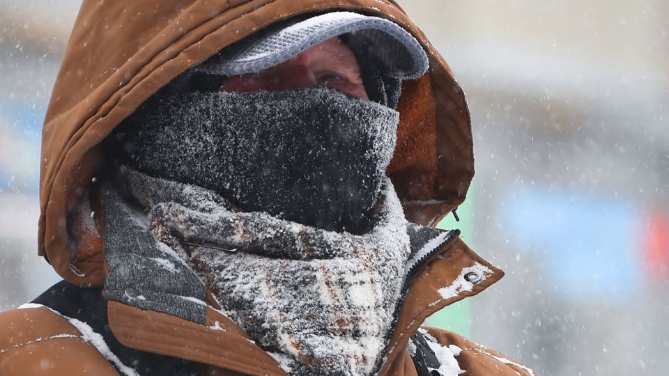 ������ ����: ��� ����������� ������ ����������� � ������������ �������� ������