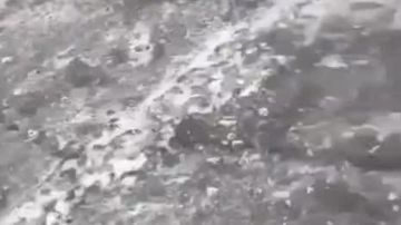 � ��������������� �������� ������ ����� ���������